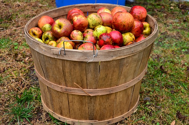apple-gda352bda9_640